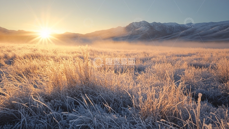 高清大图下载【趣麦麦图】打霜的草地1