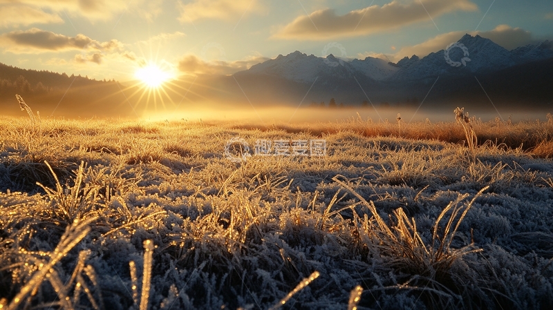 高清大图下载【趣麦麦图】霜降的早晨