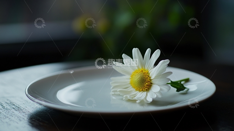 高清大图下载【趣麦麦图】唯美果香菊