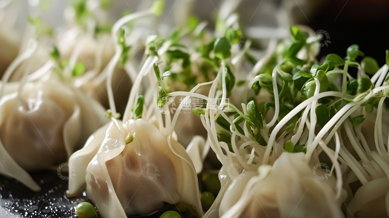 高清大图下载【趣麦麦图】水饺馄饨面食面点加工