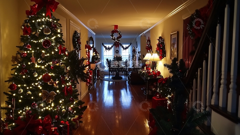 高清大图下载【趣麦麦图】门口圣诞树1
