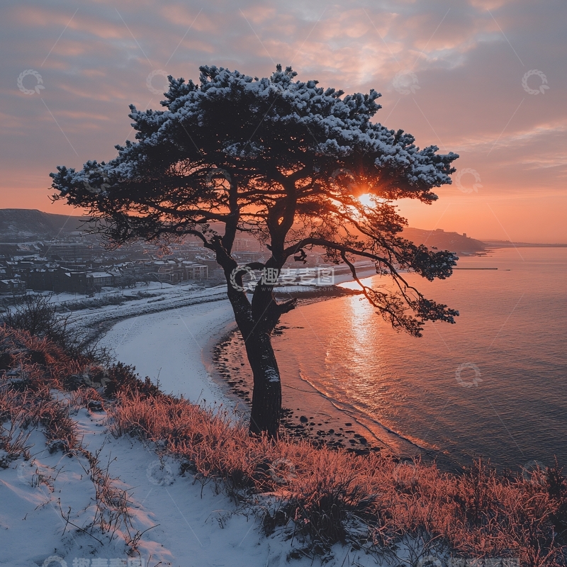 高清大图下载【趣麦麦图】雪后迎客松