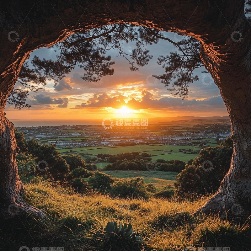 高清大图下载【趣麦麦图】树洞高清图2