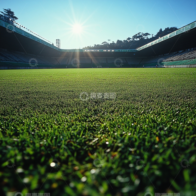 高清大图下载【趣麦麦图】阳光下的绿茵场6