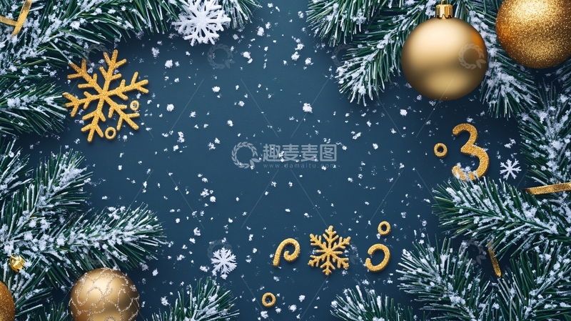 高清大图下载【趣麦麦图】冷杉树枝