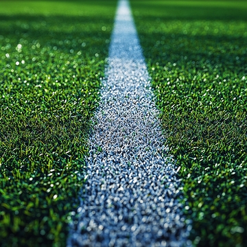 足球场草地纹理