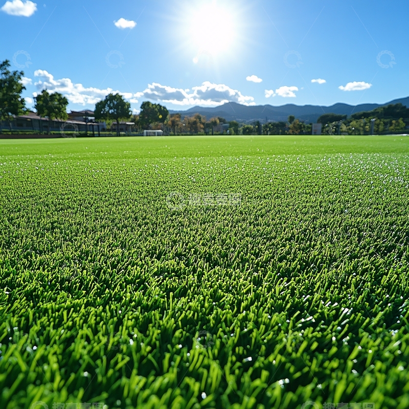 高清大图下载【趣麦麦图】阳光下的绿茵场12