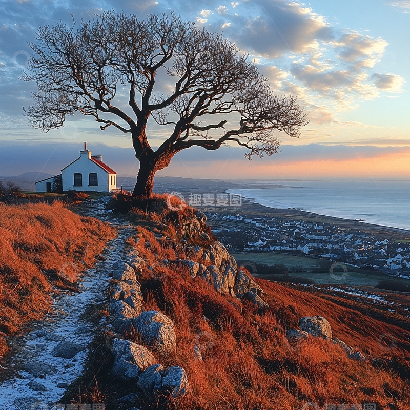 高清大图下载【趣麦麦图】孤独一棵树