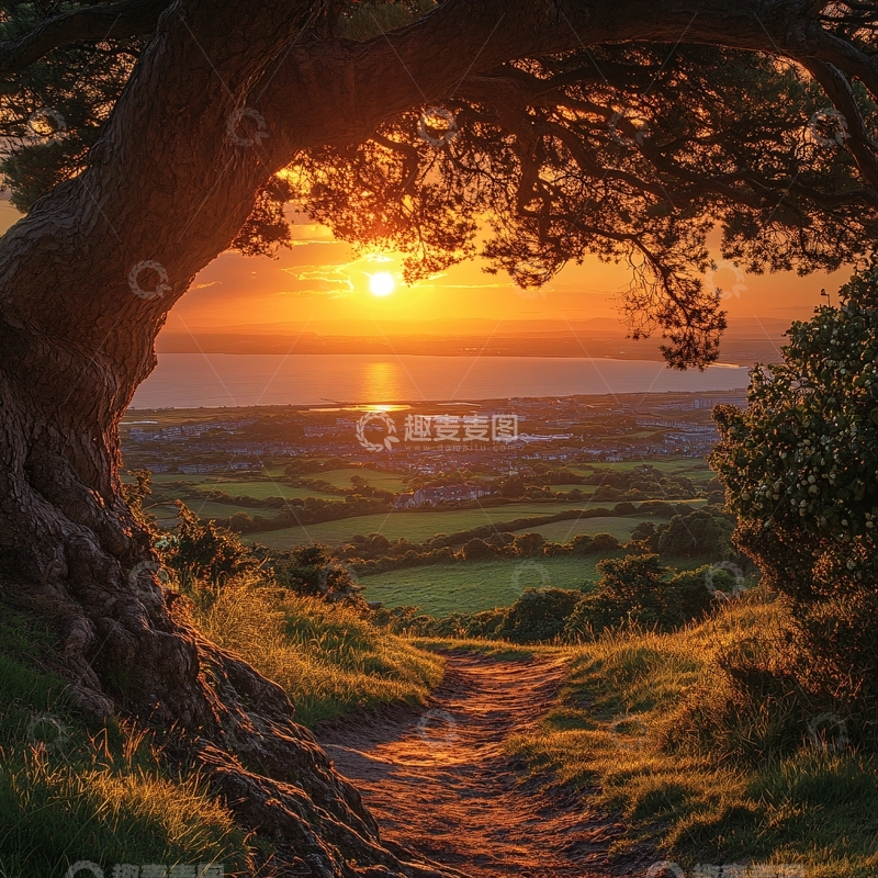 高清大图下载【趣麦麦图】唯美大树小路8