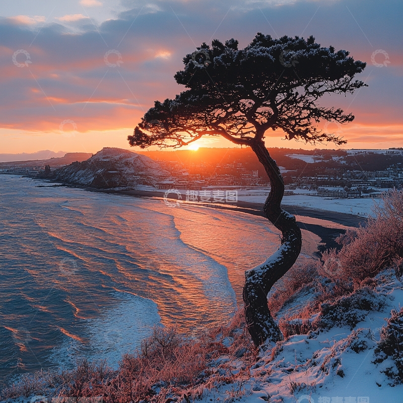 高清大图下载【趣麦麦图】冬日唯美树景4