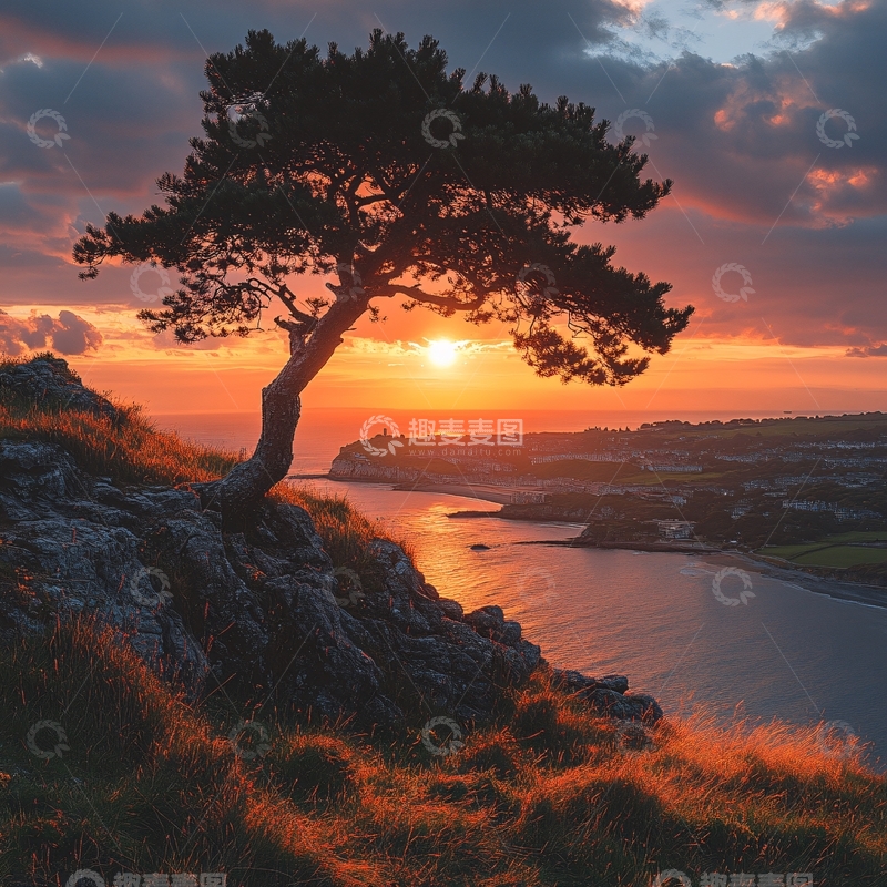 高清大图下载【趣麦麦图】悬崖边的树2