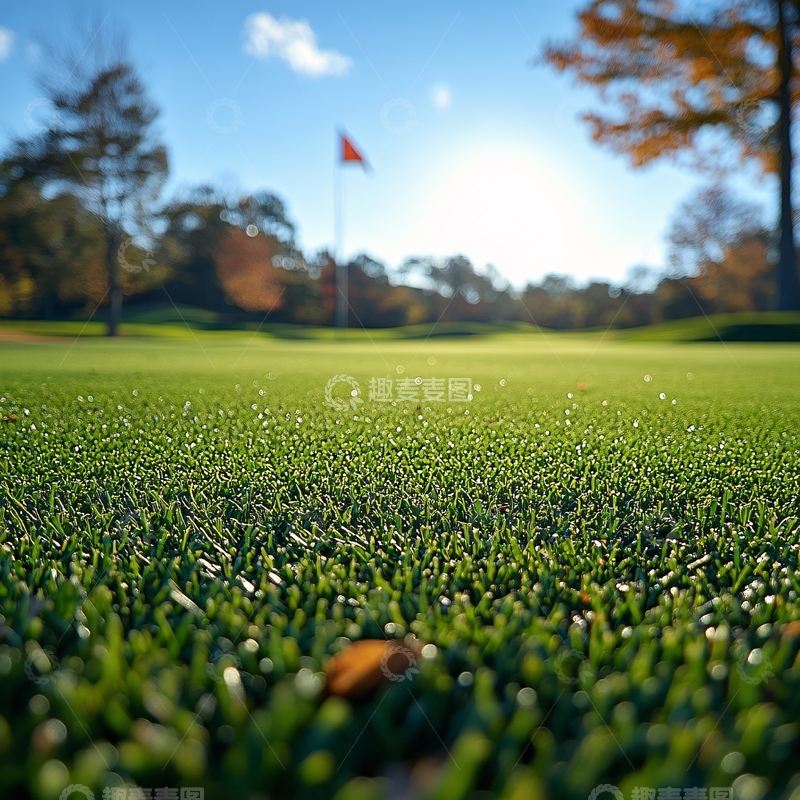 高清大图下载【趣麦麦图】前景聚焦高尔夫球23