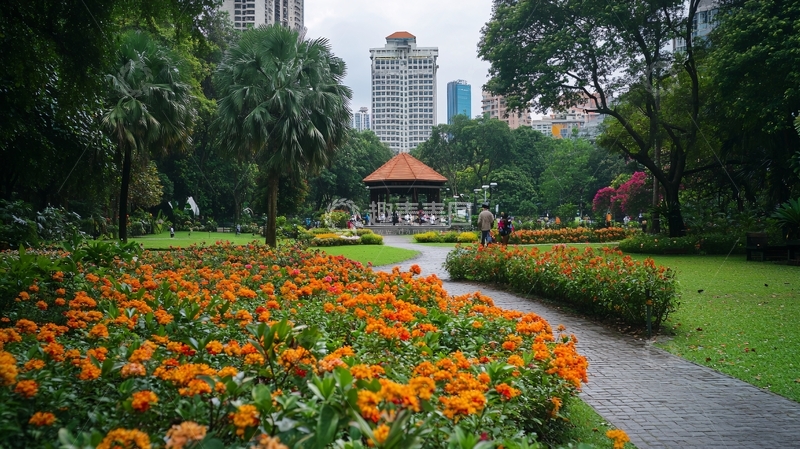 高清大图下载【趣麦麦图】城市的中心花园