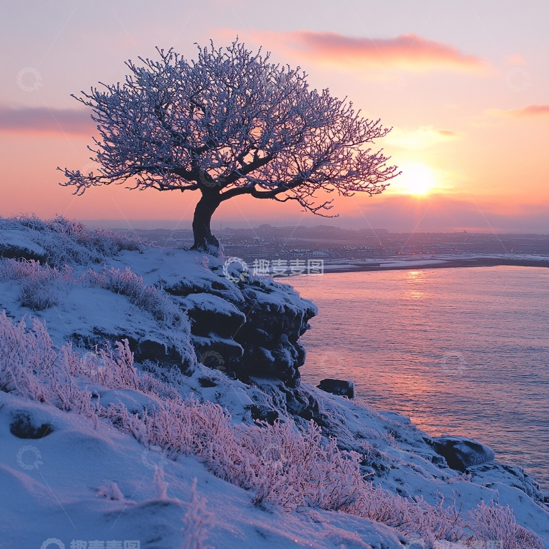 高清大图下载【趣麦麦图】唯美冰凌树1