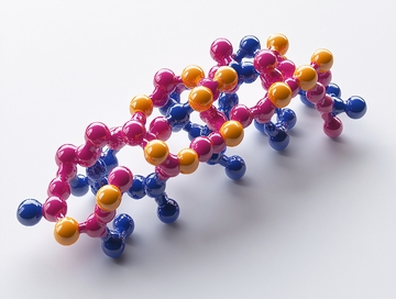 彩色细胞基因链1