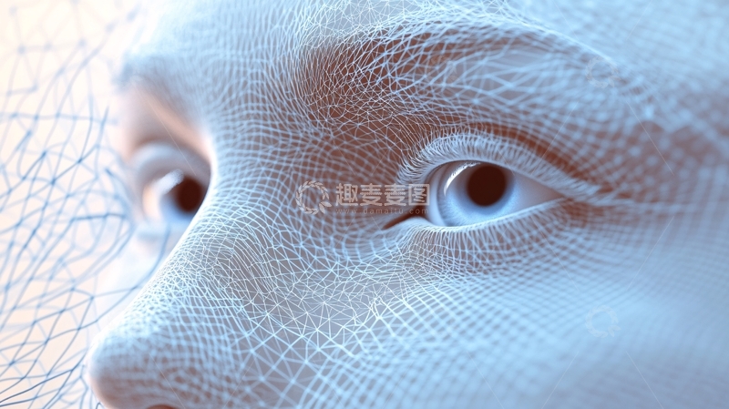 高清大图下载【趣麦麦图】人面网纹