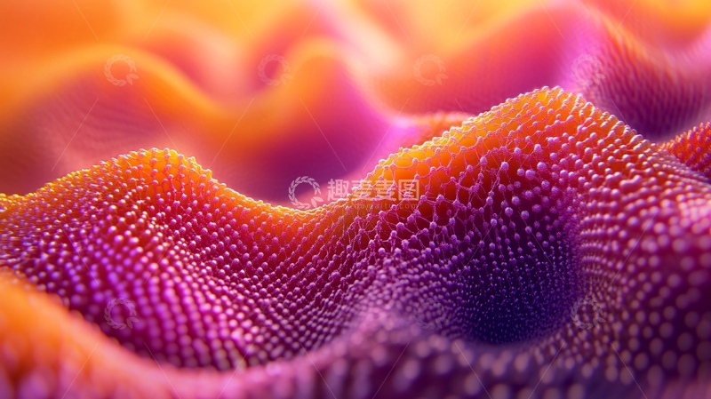 高清大图下载【趣麦麦图】膨胀壁纸2