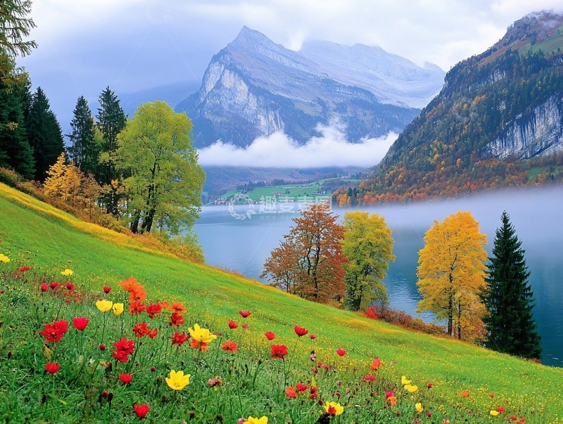 高清大图下载【趣麦麦图】桌面壁纸自然风景