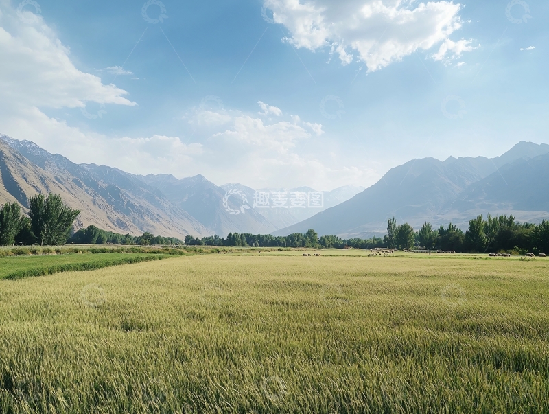高清大图下载【趣麦麦图】新疆塔什库尔干金草滩
