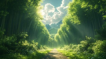 竹林山路竹林山路森林