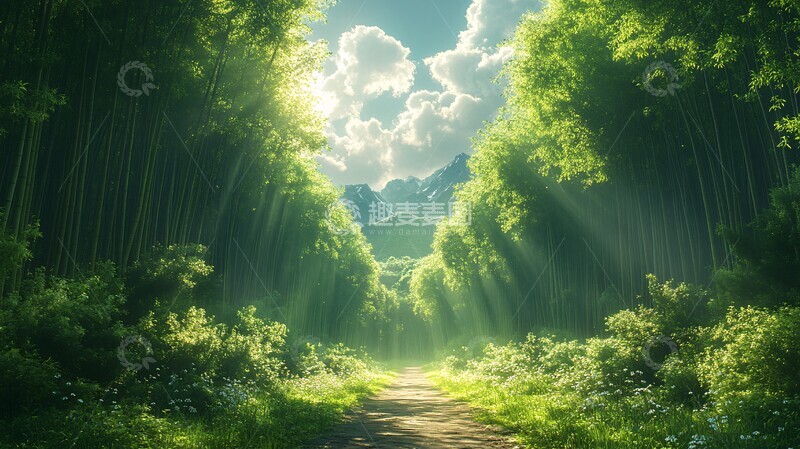 高清大图下载【趣麦麦图】竹林山路竹林山路森林