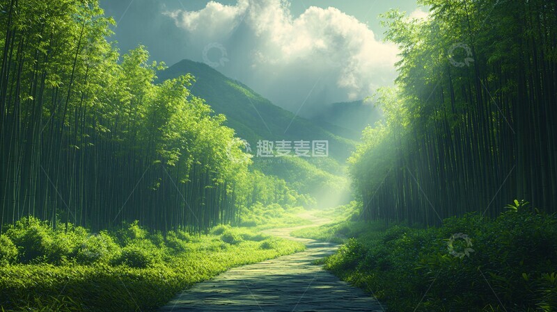 高清大图下载【趣麦麦图】竹林山路竹林山路高山