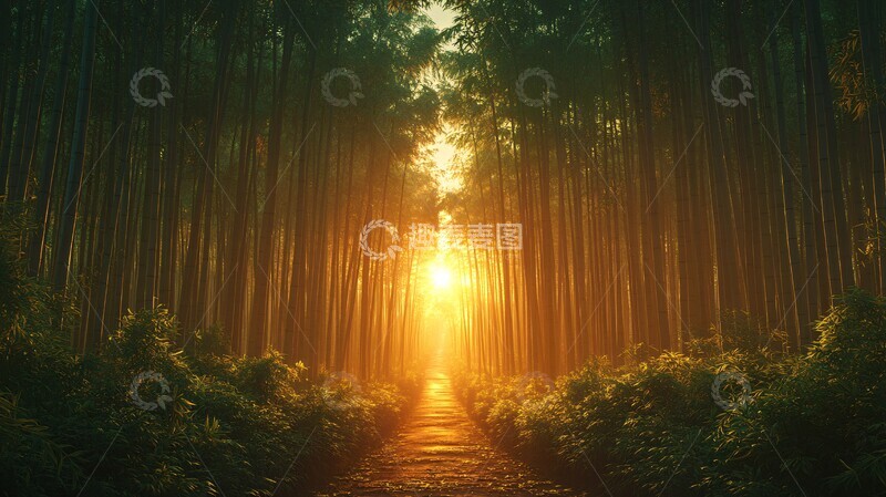 高清大图下载【趣麦麦图】竹林小径竹林路径自然