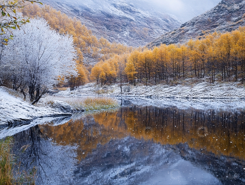 高清大图下载【趣麦麦图】深秋色白雪山林黄叶