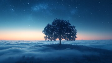 夜空中最亮的星背景壁纸2