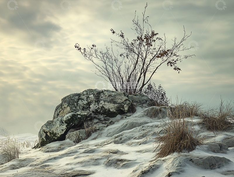 高清大图下载【趣麦麦图】山石上的小树