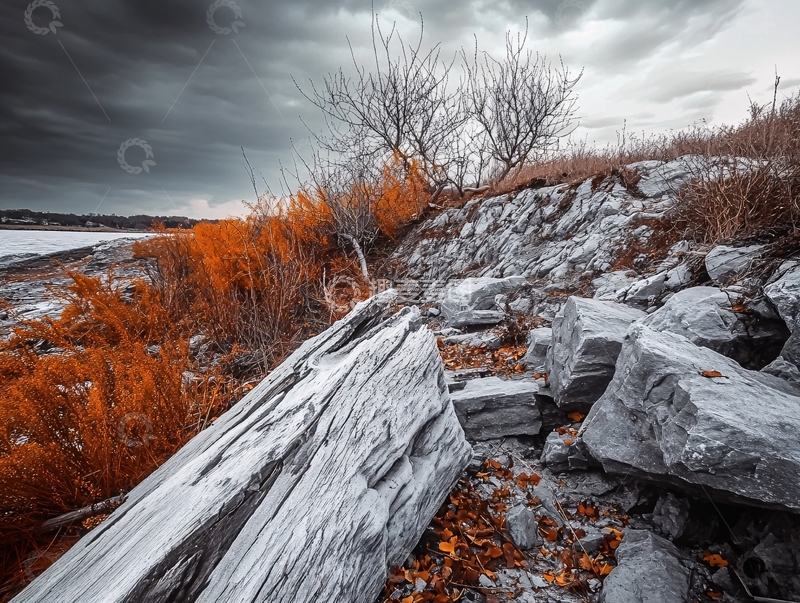 高清大图下载【趣麦麦图】废墟风秋色