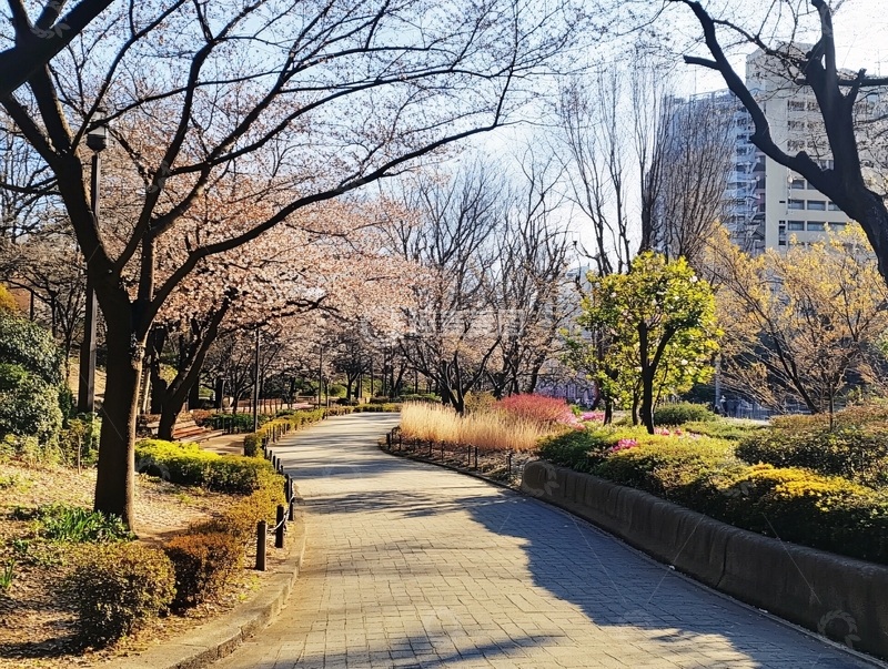高清大图下载【趣麦麦图】梅花树下赏花时