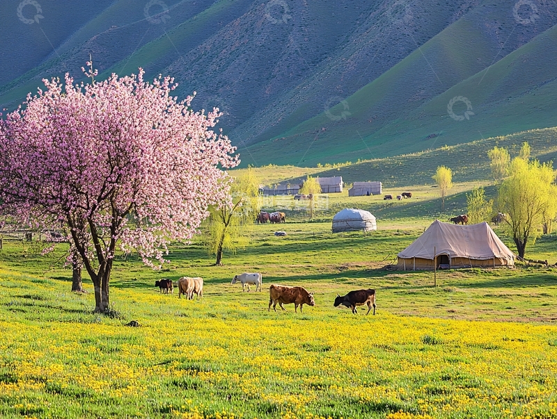 高清大图下载【趣麦麦图】吐尔根杏花沟风光