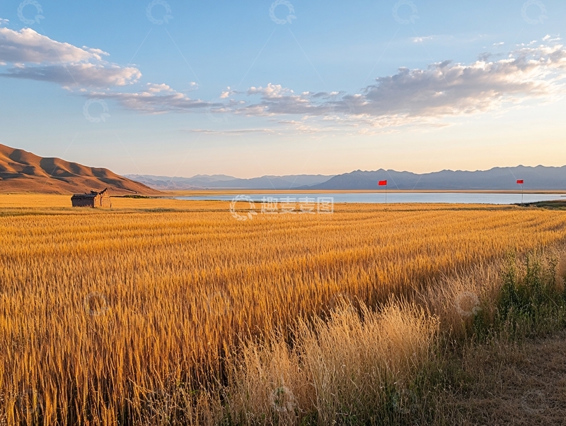 高清大图下载【趣麦麦图】湖边金色草滩