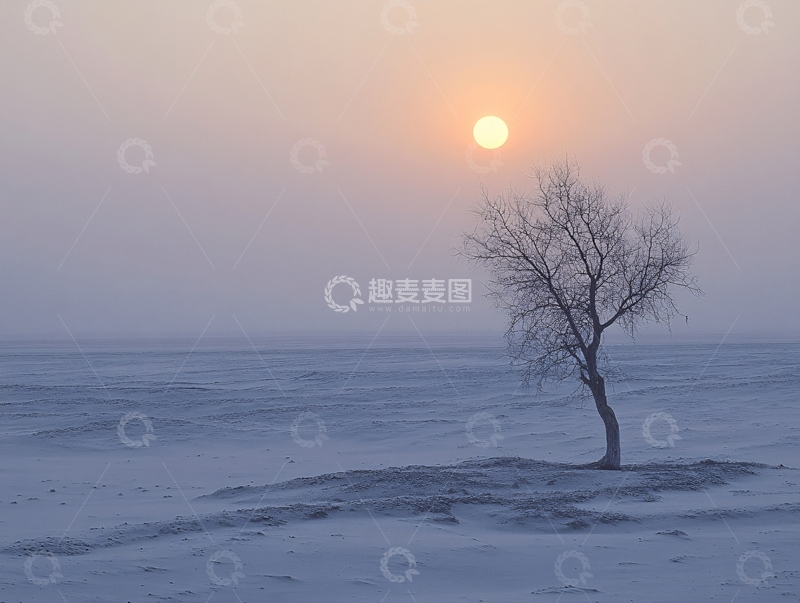 高清大图下载【趣麦麦图】冬季雪原落日一颗树5