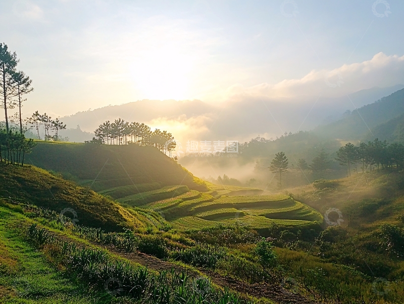 高清大图下载【趣麦麦图】梯田之晨