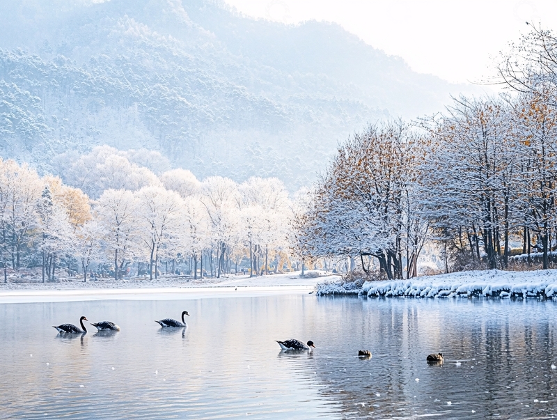 高清大图下载【趣麦麦图】大九湖冬天1