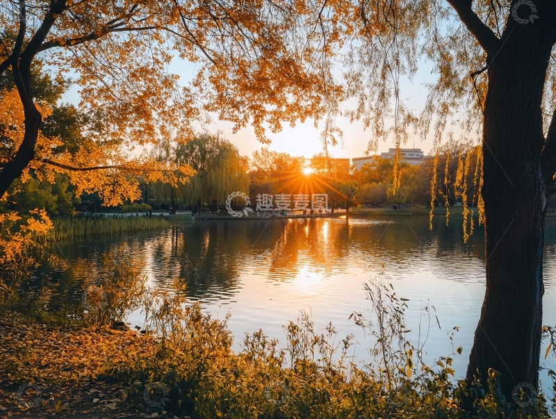 高清大图下载【趣麦麦图】曲院风荷落日