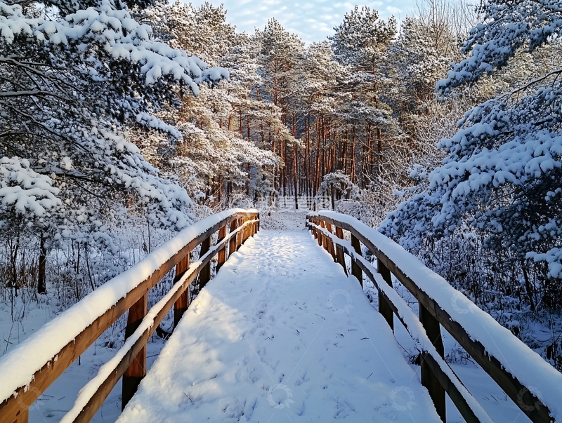 高清大图下载【趣麦麦图】雪落木栈道