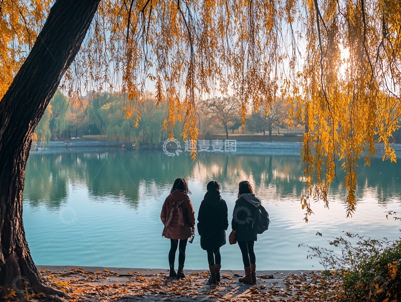 高清大图下载【趣麦麦图】秋天背影
