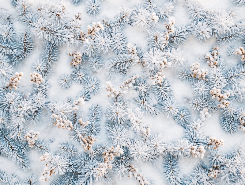 高清大图下载【趣麦麦图】霜花纹理