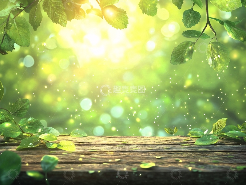 高清大图下载【趣麦麦图】春日光影木板3