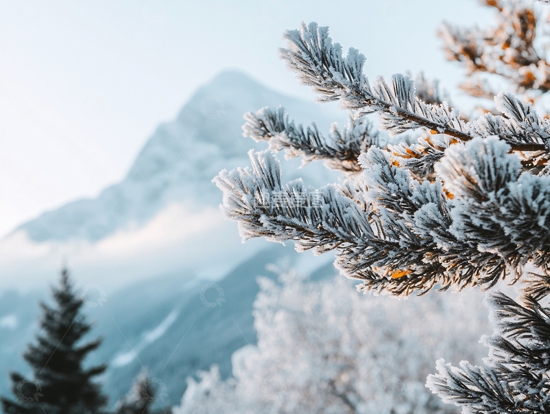 高清大图下载【趣麦麦图】秋天的毕棚沟雪山雪景