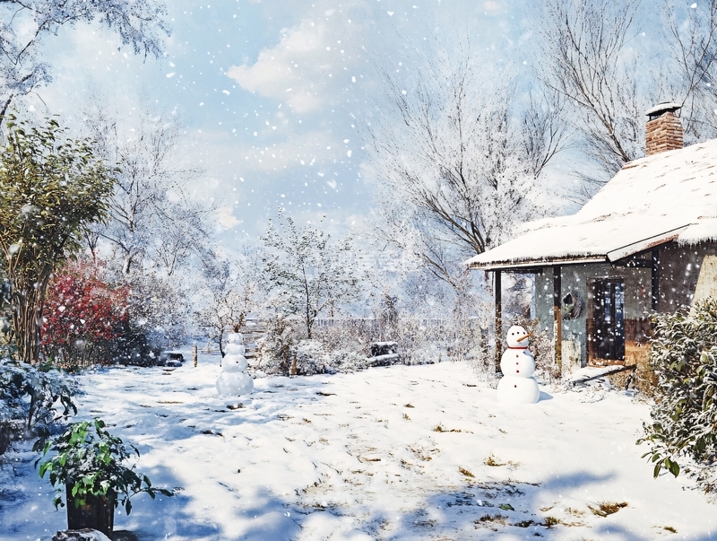 高清大图下载【趣麦麦图】冬季乡村小院