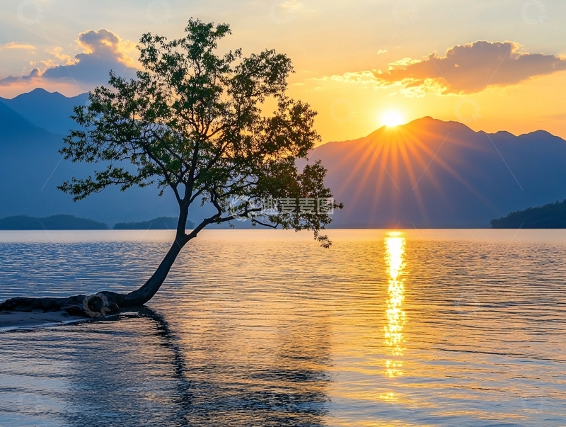 高清大图下载【趣麦麦图】邛海网红树