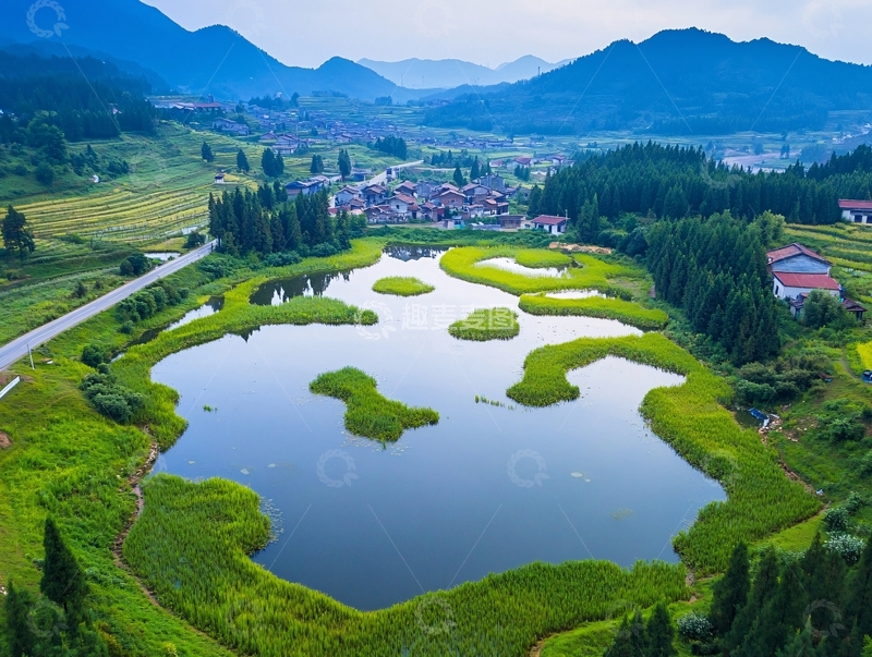 高清大图下载【趣麦麦图】水草湿地