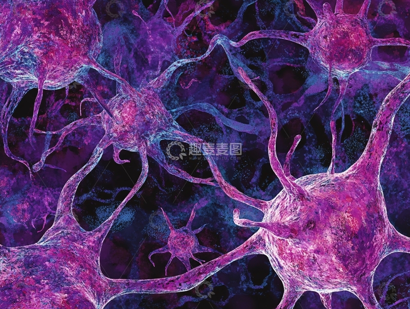高清大图下载【趣麦麦图】神经细胞