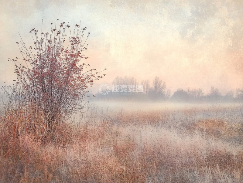 高清大图下载【趣麦麦图】朦胧秋景