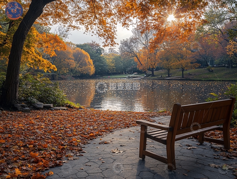 高清大图下载【趣麦麦图】落叶满地与休息长凳