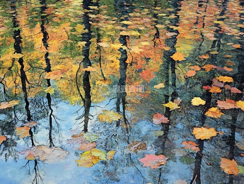 高清大图下载【趣麦麦图】残叶倒影